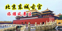 直插下面男女免费中国北京-东城古宫旅游风景区